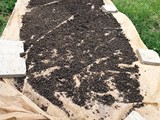 Drying potatoe peels