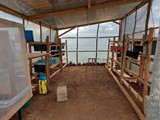 Inside larvarium