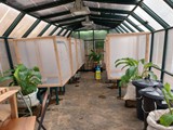 Inside mating house