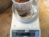 Weighing pupae