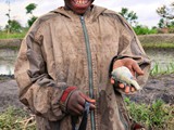 boy_found_some_fish_in_draining_ditch