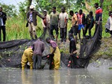 fishing_the_pond