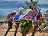 Legal fishing nets, fishing community Malawi lake